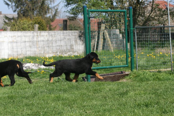 Quenza 09 04 2017 (52)